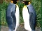 Игра Penguin Puzzle онлайн
