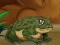 Игра Frogs Matching онлайн