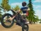 Игра Dirt Bike Enduro Racing онлайн