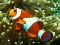 Игра Underwater Hidden Numbers онлайн