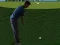Игра Flash Golf 3D онлайн
