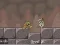 Игра Roly-Poly Eliminator 2 онлайн