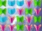 Игра Butterfly Collector онлайн