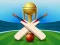 Игра Cricket Champions Cup онлайн