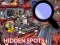 Игра Hidden Spots In The Room онлайн