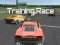 Игра Training Race онлайн