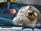 Игра Space Find The Differences онлайн
