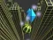 Игра Marble Rolling Stunt онлайн