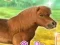 Игра My Dear Pony онлайн