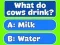 Игра Trivia Best Family Quiz онлайн