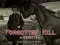 Игра Forgotten Hill Memento: Run Run little Horse онлайн