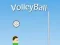 Игра VolleyBall онлайн