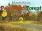 Игра Mysterious Password Forest Autumn Edition 2 онлайн