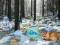 Игра Winter Wonderland Forest Adventure онлайн