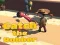 Игра Catsh the robber онлайн