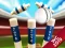 Игра Mini Cricket: Ground Championship World Cup 2019 онлайн