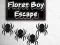 Игра Floret Boy Escape онлайн