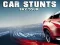 Игра Car Stunts Sky Tour онлайн