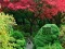 Игра Maple Leaf Garden Escape онлайн