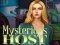 Игра Mysterious host онлайн