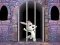 Игра Victory Rabbit Escape онлайн