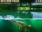 Игра Willow Pond онлайн