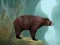 Игра Caged Tiger Cub Escape онлайн