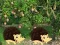 Игра Escape From Mango Farm онлайн