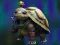 Игра Isolated Turtle Escape онлайн