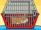 Игра Rescue The Hamster From Cage онлайн