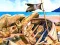 Игра Pirate Mysteries онлайн