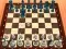 Игра Chess Master 3D онлайн