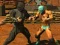 Игра Fighter Legends Duo онлайн