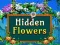 Игра Hidden Flowers онлайн
