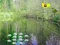 Игра Sunlight Forest Adventure онлайн