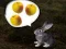 Игра The Foggy Forest онлайн