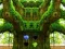 Игра Frenzy Crocodile Escape онлайн