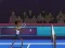 Игра Badminton Brawl онлайн
