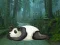 Игра Wakeup The Sleeping Panda онлайн