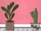 Игра Find Houseplant онлайн