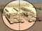 Игра Camo Sniper онлайн