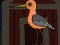 Игра Cute Godwit Escape онлайн