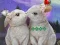 Игра Rescue The Cupid онлайн