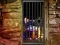 Игра Hidden Cat Escape онлайн