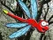 Игра Escape From Dragonfly Forest онлайн