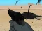 Игра Weapon онлайн