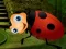 Игра Rescue The Couple Bug онлайн