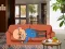 Игра Wakeup The Grandpa онлайн