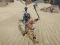 Игра The Scythian Warrior онлайн