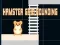 Игра Hamster grid rounding онлайн